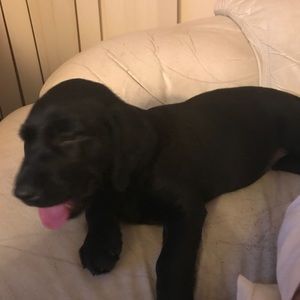 Meet your Posher, Kari